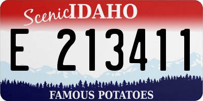 ID license plate E213411