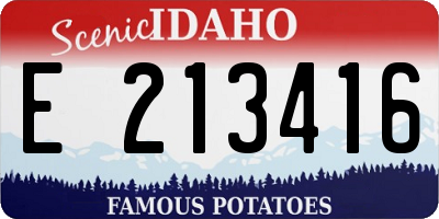 ID license plate E213416