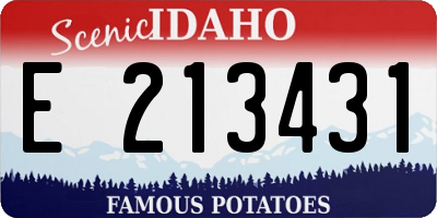 ID license plate E213431