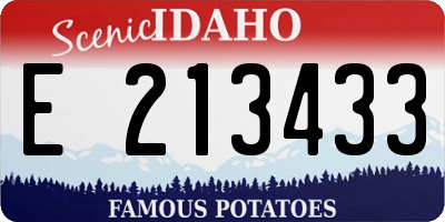 ID license plate E213433