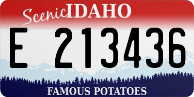 ID license plate E213436