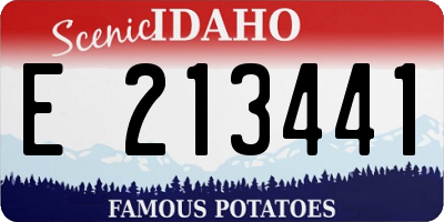ID license plate E213441