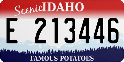 ID license plate E213446