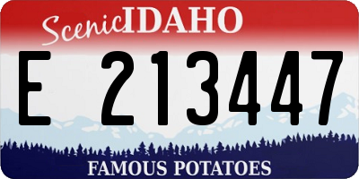 ID license plate E213447