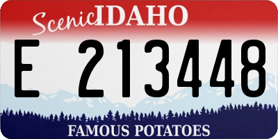 ID license plate E213448