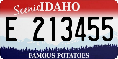 ID license plate E213455