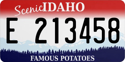 ID license plate E213458
