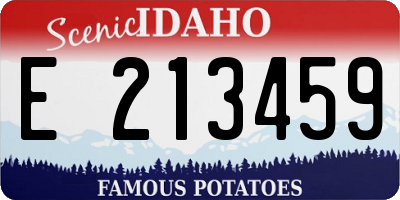 ID license plate E213459