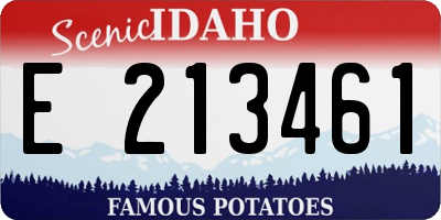 ID license plate E213461
