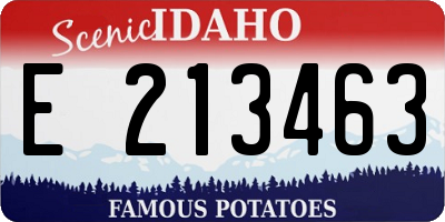 ID license plate E213463