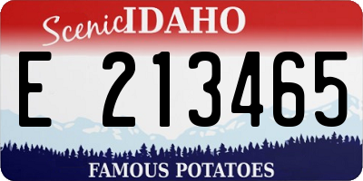 ID license plate E213465