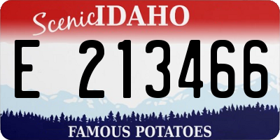 ID license plate E213466