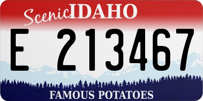 ID license plate E213467