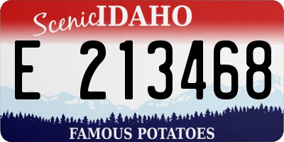 ID license plate E213468