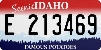 ID license plate E213469