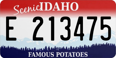 ID license plate E213475