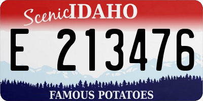 ID license plate E213476