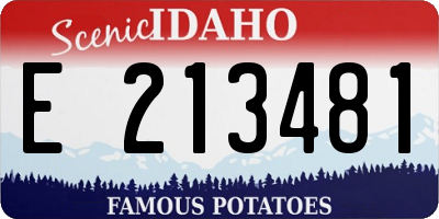 ID license plate E213481