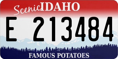 ID license plate E213484