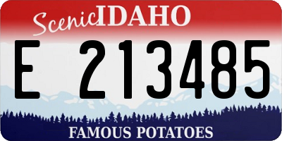 ID license plate E213485