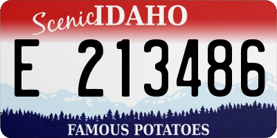ID license plate E213486