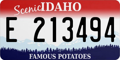 ID license plate E213494