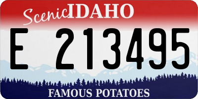 ID license plate E213495