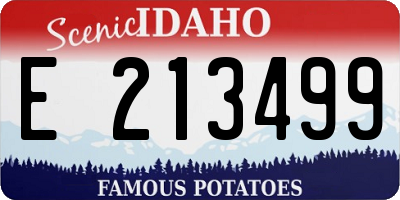 ID license plate E213499