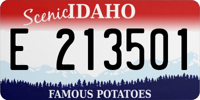 ID license plate E213501