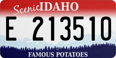 ID license plate E213510