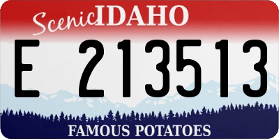 ID license plate E213513