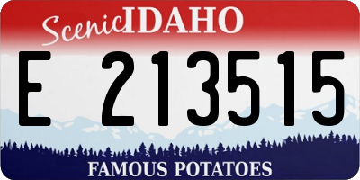 ID license plate E213515