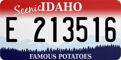 ID license plate E213516