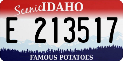 ID license plate E213517