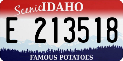 ID license plate E213518