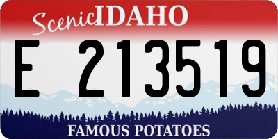 ID license plate E213519
