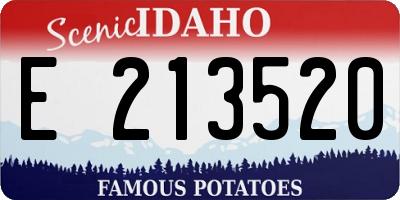 ID license plate E213520