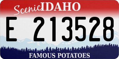 ID license plate E213528