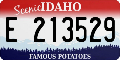 ID license plate E213529