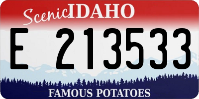 ID license plate E213533
