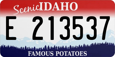 ID license plate E213537