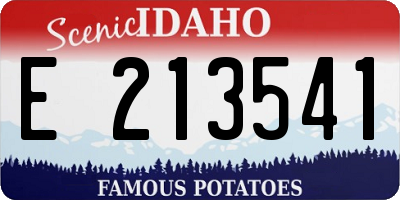 ID license plate E213541