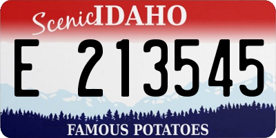 ID license plate E213545