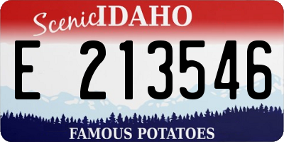 ID license plate E213546