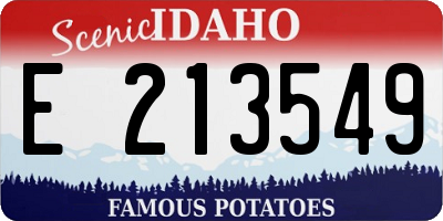 ID license plate E213549