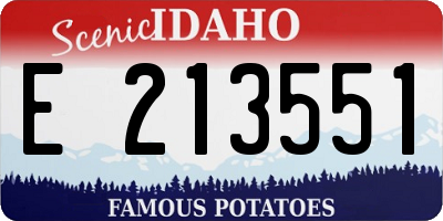 ID license plate E213551