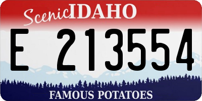 ID license plate E213554
