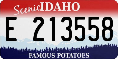 ID license plate E213558
