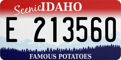 ID license plate E213560