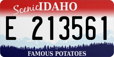 ID license plate E213561